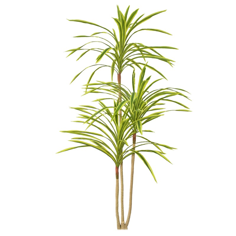 Planta artificiala, Dracaena Marginata fara ghiveci, Naimeed D5604, 175x78 cm, Verde Galbui Planta artificiala, Dracaena Marginata fara ghiveci, Naimeed D5604, 175x78 cm, Verde Galbui