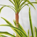 Planta artificiala, Dracaena Marginata fara ghiveci, Naimeed D5604, 175x78 cm, Verde Galbui Planta artificiala, Dracaena Marginata fara ghiveci, Naimeed D5604, 175x78 cm, Verde Galbui