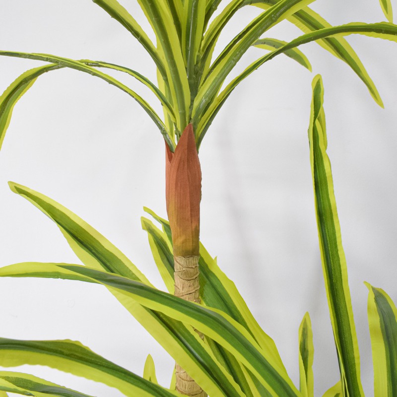 Planta artificiala, Dracaena Marginata fara ghiveci, Naimeed D5604, 175x78 cm, Verde Galbui Planta artificiala, Dracaena Marginata fara ghiveci, Naimeed D5604, 175x78 cm, Verde Galbui