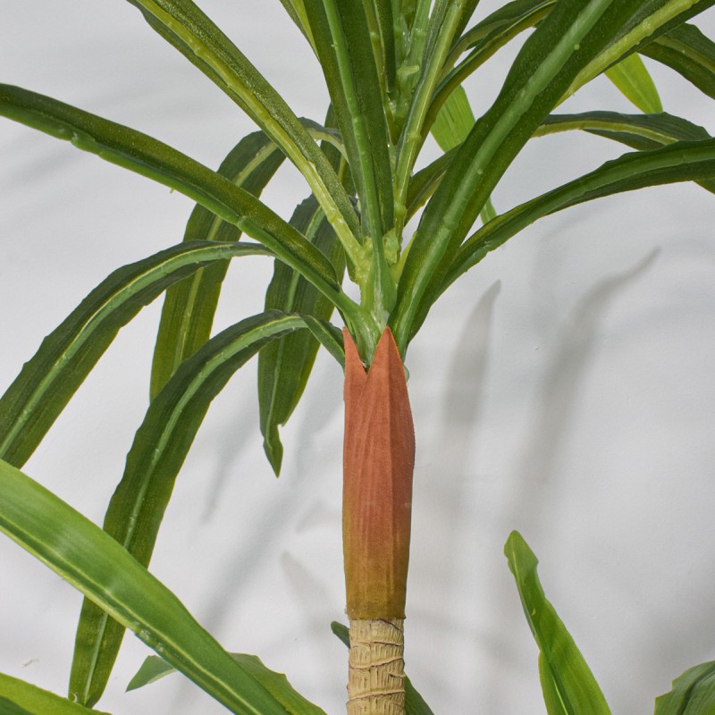 Planta artificiala, Dracaena Marginata fara ghiveci, Naimeed D5604, 175x78 cm, Verde Planta artificiala, Dracaena Marginata fara ghiveci, Naimeed D5604, 175x78 cm, Verde