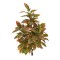 Planta artificiala, Croton Magnificent fara ghiveci, Naimeed D5608, 110x75 cm, Rosu