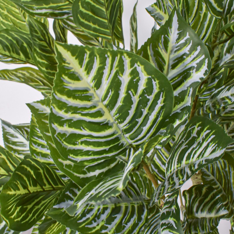 Planta artificiala, Aphelandra Squarrosa (Planta Zebra) fara ghiveci, Naimeed D5609, 140x67 cm, Verde