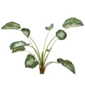 Planta artificiala, Caladium fara ghiveci, Naimeed D5614, 134x150 cm, Verde Planta artificiala, Caladium fara ghiveci, Naimeed D5614, 134x150 cm, Verde