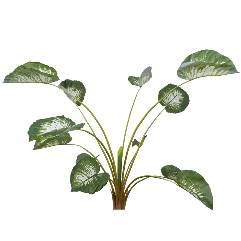 Planta artificiala, Caladium fara ghiveci, Naimeed D5614, 134x150 cm, Verde Planta artificiala, Caladium fara ghiveci, Naimeed D5614, 134x150 cm, Verde
