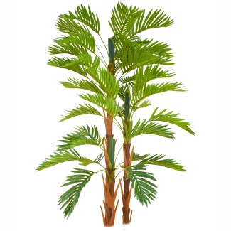 Copac artificial, Areca fara ghiveci, Naimeed D5616, 174x90 cm, Verde Copac artificial, Areca fara ghiveci, Naimeed D5616, 174x90 cm, Verde