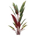 Planta artificiala, Stromanthe Sanguinea fara ghiveci, Naimeed D5618, 185x40 cm, Galben Planta artificiala, Stromanthe Sanguinea fara ghiveci, Naimeed D5618, 185x40 cm, Galben