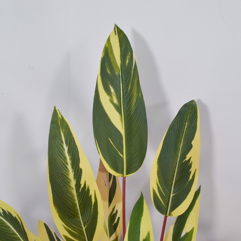 Planta artificiala, Stromanthe Sanguinea fara ghiveci, Naimeed D5618, 185x40 cm, Galben Planta artificiala, Stromanthe Sanguinea fara ghiveci, Naimeed D5618, 185x40 cm, Galben