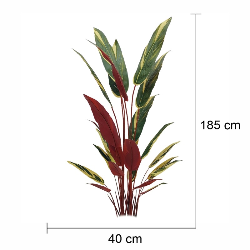 Planta artificiala, Stromanthe Sanguinea fara ghiveci, Naimeed D5618, 185x40 cm, Galben Planta artificiala, Stromanthe Sanguinea fara ghiveci, Naimeed D5618, 185x40 cm, Galben