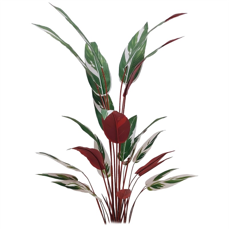 Planta artificiala, Stromanthe Sanguinea fara ghiveci, Naimeed D5618, 185x40 cm, Alb Planta artificiala, Stromanthe Sanguinea fara ghiveci, Naimeed D5618, 185x40 cm, Alb