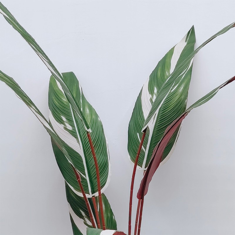 Planta artificiala, Stromanthe Sanguinea fara ghiveci, Naimeed D5618, 185x40 cm, Alb Planta artificiala, Stromanthe Sanguinea fara ghiveci, Naimeed D5618, 185x40 cm, Alb