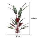Planta artificiala, Stromanthe Sanguinea fara ghiveci, Naimeed D5618, 185x40 cm, Alb Planta artificiala, Stromanthe Sanguinea fara ghiveci, Naimeed D5618, 185x40 cm, Alb