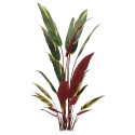 Planta artificiala, Stromanthe Sanguinea fara ghiveci, Naimeed D5619, 140x30 cm, Galben Planta artificiala, Stromanthe Sanguinea fara ghiveci, Naimeed D5619, 140x30 cm, Galben