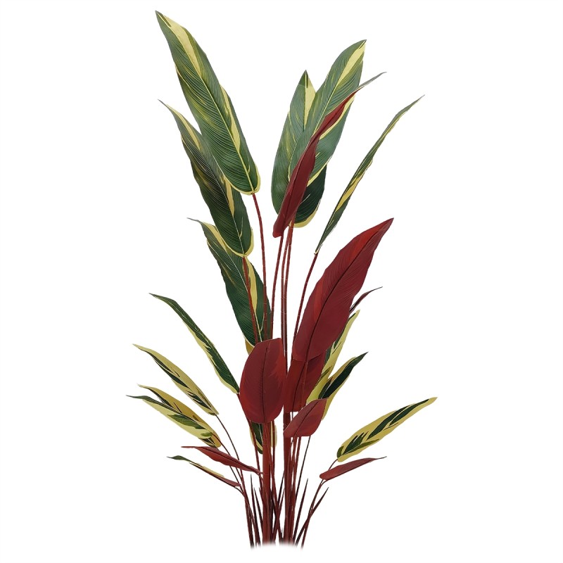 Planta artificiala, Stromanthe Sanguinea fara ghiveci, Naimeed D5619, 140x30 cm, Galben Planta artificiala, Stromanthe Sanguinea fara ghiveci, Naimeed D5619, 140x30 cm, Galben