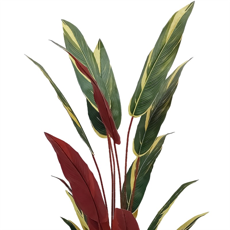Planta artificiala, Stromanthe Sanguinea fara ghiveci, Naimeed D5619, 140x30 cm, Galben Planta artificiala, Stromanthe Sanguinea fara ghiveci, Naimeed D5619, 140x30 cm, Galben