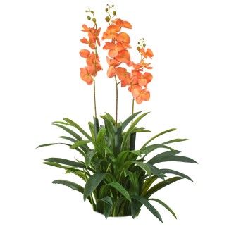 Floare artificiala, Orhidee Molie fara ghiveci, Naimeed D5621, 100x84 cm, Portocaliu Floare artificiala, Orhidee Molie fara ghiveci, Naimeed D5621, 100x84 cm, Portocaliu