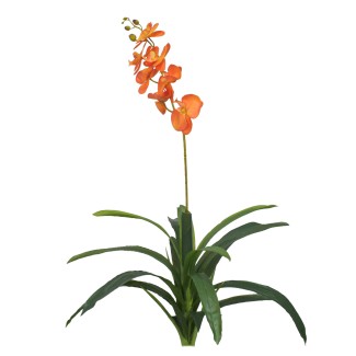 Floare artificiala, Orhidee fara ghiveci, Naimeed D5623, 105x60 cm, Portocaliu Floare artificiala, Orhidee fara ghiveci, Naimeed D5623, 105x60 cm, Portocaliu
