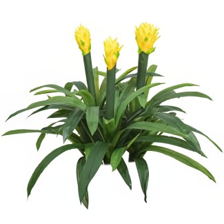 Floare artificiala, Guzmania fara ghiveci, Naimeed D5627, 70x75 cm, Galben Floare artificiala, Guzmania fara ghiveci, Naimeed D5627, 70x75 cm, Galben