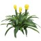 Floare artificiala, Guzmania fara ghiveci, Naimeed D5627, 70x75 cm, Galben