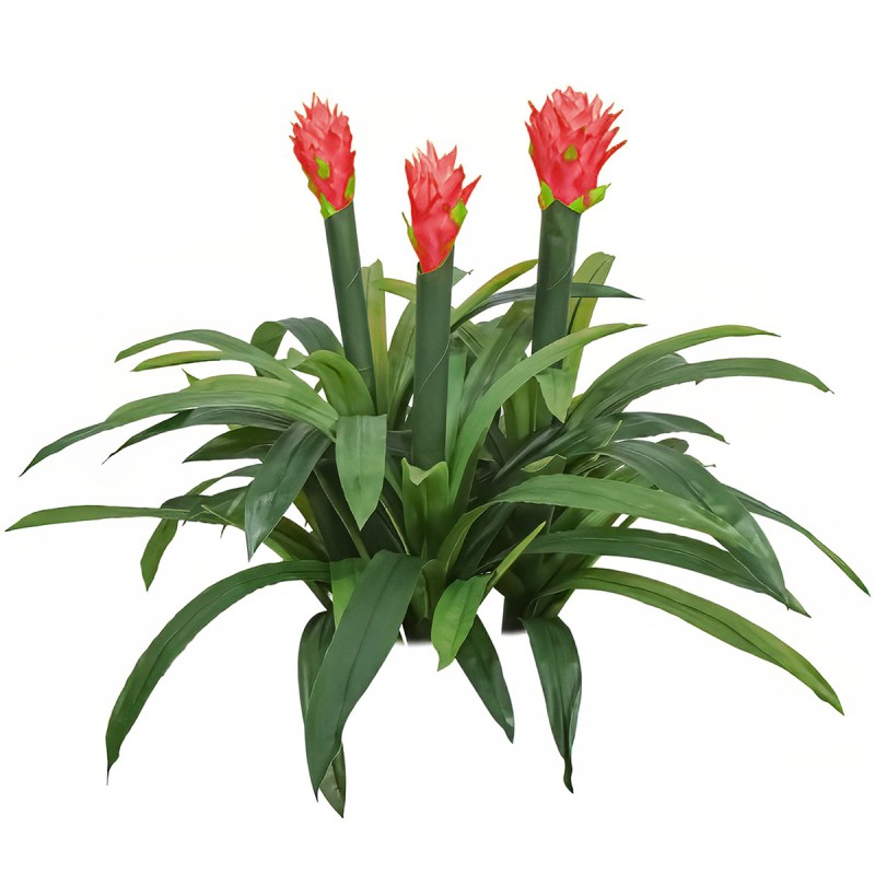 Floare artificiala, Guzmania fara ghiveci, Naimeed D5627, 70x75 cm, Rosu Floare artificiala, Guzmania fara ghiveci, Naimeed D5627, 70x75 cm, Rosu