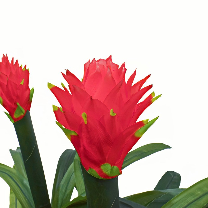 Floare artificiala, Guzmania fara ghiveci, Naimeed D5627, 70x75 cm, Rosu Floare artificiala, Guzmania fara ghiveci, Naimeed D5627, 70x75 cm, Rosu