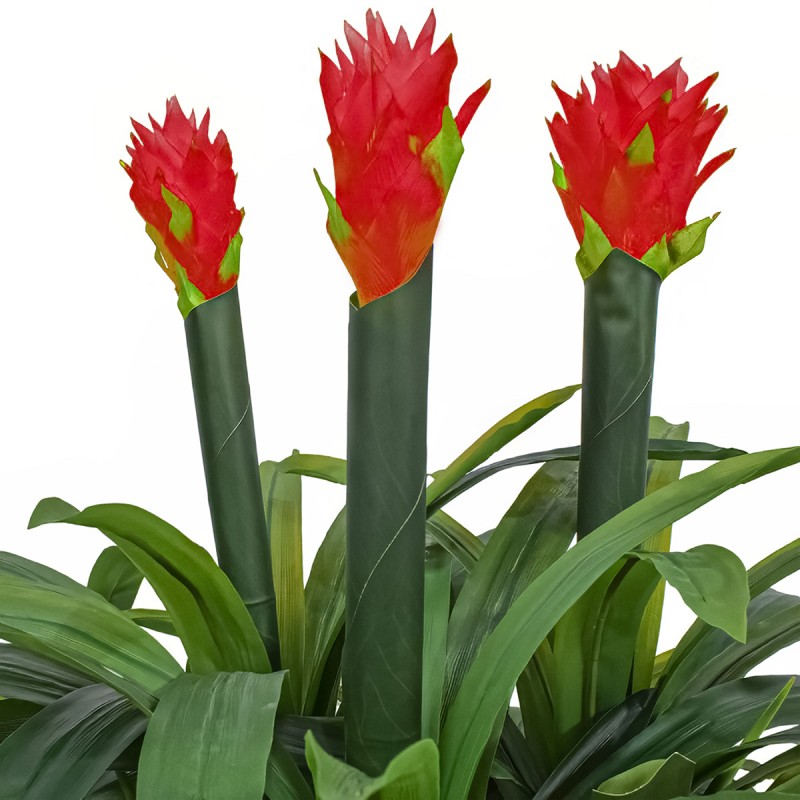 Floare artificiala, Guzmania fara ghiveci, Naimeed D5627, 70x75 cm, Rosu Floare artificiala, Guzmania fara ghiveci, Naimeed D5627, 70x75 cm, Rosu