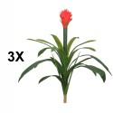 Floare artificiala, Guzmania fara ghiveci, Naimeed D5627, 70x75 cm, Rosu Floare artificiala, Guzmania fara ghiveci, Naimeed D5627, 70x75 cm, Rosu