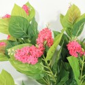 Floare artificiala, Guzmania fara ghiveci, Naimeed D5628, 90x60 cm, Roz Floare artificiala, Guzmania fara ghiveci, Naimeed D5628, 90x60 cm, Roz