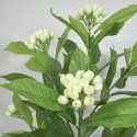 Floare artificiala fara ghiveci, Naimeed D5631, 90x67 cm, Alb Floare artificiala fara ghiveci, Naimeed D5631, 90x67 cm, Alb