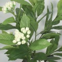 Floare artificiala fara ghiveci, Naimeed D5631, 90x67 cm, Alb Floare artificiala fara ghiveci, Naimeed D5631, 90x67 cm, Alb
