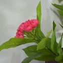 Floare artificiala fara ghiveci, Naimeed D5631, 90x67 cm, Roz Aprins Floare artificiala fara ghiveci, Naimeed D5631, 90x67 cm, Roz Aprins