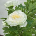 Floare artificiala, Bujor Chinezesc fara ghiveci, Naimeed D5632, 90x60 cm, Alb Floare artificiala, Bujor Chinezesc fara ghiveci, Naimeed D5632, 90x60 cm, Alb