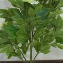 Floare artificiala, Bujor Chinezesc fara ghiveci, Naimeed D5632, 90x60 cm, Alb Floare artificiala, Bujor Chinezesc fara ghiveci, Naimeed D5632, 90x60 cm, Alb