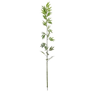 Crenguta decorativa cu frunze,bambus , Naimeed D5637, 200x30 cm, Verde Crenguta decorativa cu frunze,bambus , Naimeed D5637, 200x30 cm, Verde
