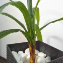 Floare artificiala, Orhidee fara ghiveci, Naimeed D5639, 130x80 cm, Rosu