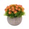 Planta artificiala, tip Asper, cu ghiveci de hartie, Naimeed D6927, 12x10 cm, Portocaliu