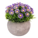 Planta artificiala, tip Asper, cu ghiveci de hartie, Naimeed D6928, 12x10 cm, Mov Planta artificiala, tip Asper, cu ghiveci de hartie, Naimeed D6928, 12x10 cm, Mov