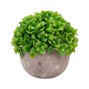 Planta artificiala, tip Crassula, cu ghiveci de hartie, Naimeed D6933, 12x10 cm, Verde Planta artificiala, tip Crassula, cu ghiveci de hartie, Naimeed D6933, 12x10 cm, Verde