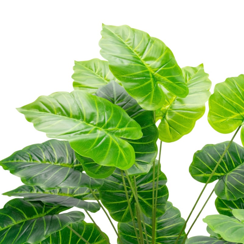 Planta decorativa artificiala, fara ghiveci, tip Alocasia, Naimeed D6941, 95 cm, Verde Planta decorativa artificiala, fara ghiveci, tip Alocasia, Naimeed D6941, 95 cm, Verde