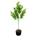 Planta decorativa artificiala, fara ghiveci, tip Buxus, Naimeed D6964, 80 cm, Galben Planta decorativa artificiala, fara ghiveci, tip Buxus, Naimeed D6964, 80 cm, Galben