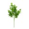 Planta decorativa artificiala, fara ghiveci, tip Buxus, Naimeed D6965, 80 cm, Verde