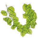 Ghirlanda artificiala cu 28 frunze, tip Epipremnum, Naimeed D7021, 1.7m, Verde Ghirlanda artificiala cu 28 frunze, tip Epipremnum, Naimeed D7021, 1.7m, Verde