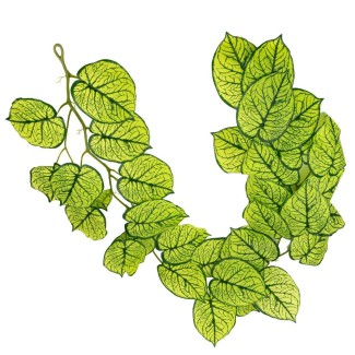 Ghirlanda artificiala cu 28 frunze, tip Epipremnum,  Naimeed D7021, 1.7m, Verde Ghirlanda artificiala cu 28 frunze, tip Epipremnum,  Naimeed D7021, 1.7m, Verde
