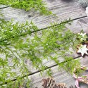 Set 2 plante artificiale curgatoare, 7 fire, lungime 75cm, Naimeed D7013, Verde inchis