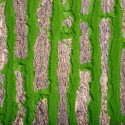 Covor muschi artificial de padure, Naimeed D6534, pentru decorare interioara sau exterioara, Verde, 1000x1000x20mm