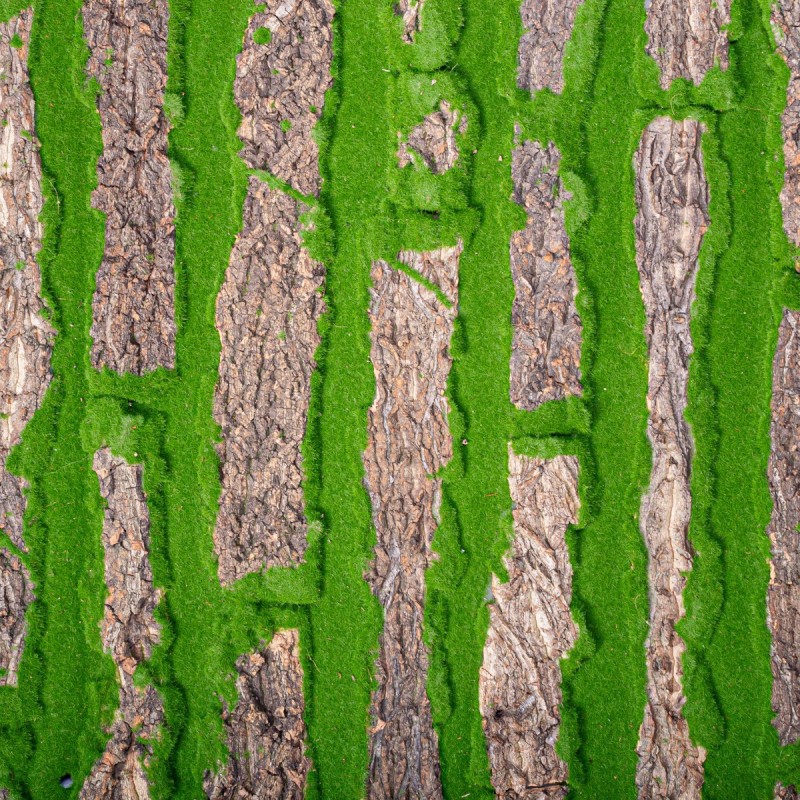 Covor muschi artificial de padure, Naimeed D6534, pentru decorare interioara sau exterioara, Verde, 1000x1000x20mm