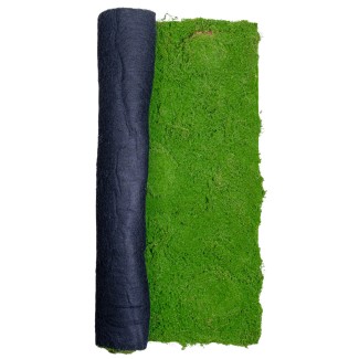 Covor muschi artificial de padure, Naimeed D6538, pentru decorare interioara sau exterioara, Verde, 1000x1000x20mm Covor muschi artificial de padure, Naimeed D6538, pentru decorare interioara sau exterioara, Verde, 1000x1000x20mm
