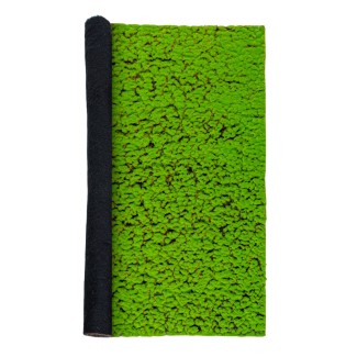 Covor muschi artificial de padure, Naimeed D6539, pentru decorare interioara sau exterioara, Verde, 1000x1000x30mm Covor muschi artificial de padure, Naimeed D6539, pentru decorare interioara sau exterioara, Verde, 1000x1000x30mm