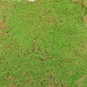 Covor muschi artificial de padure, Naimeed D6541, pentru decorare interioara sau exterioara, Verde, 1000x1000x20mm