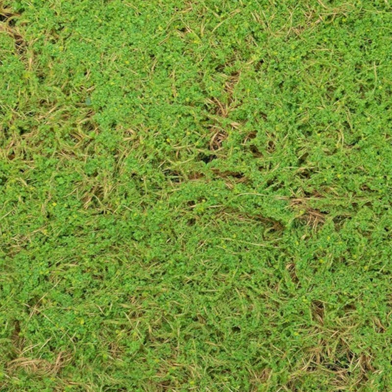 Covor muschi artificial de padure, Naimeed D6541, pentru decorare interioara sau exterioara, Verde, 1000x1000x20mm