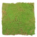 Covor muschi artificial de padure, Naimeed D6541, pentru decorare interioara sau exterioara, Verde, 1000x1000x20mm